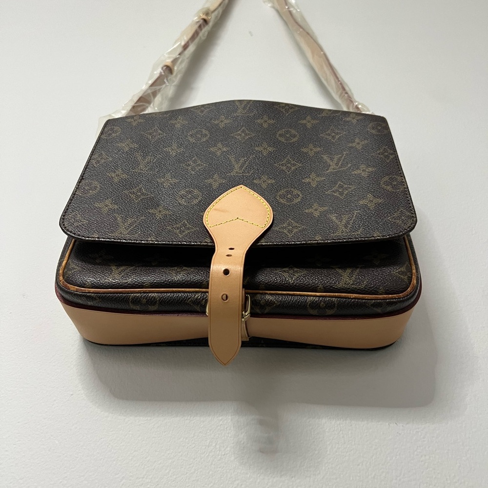 Louis Vuitton Brown and Tan Bag